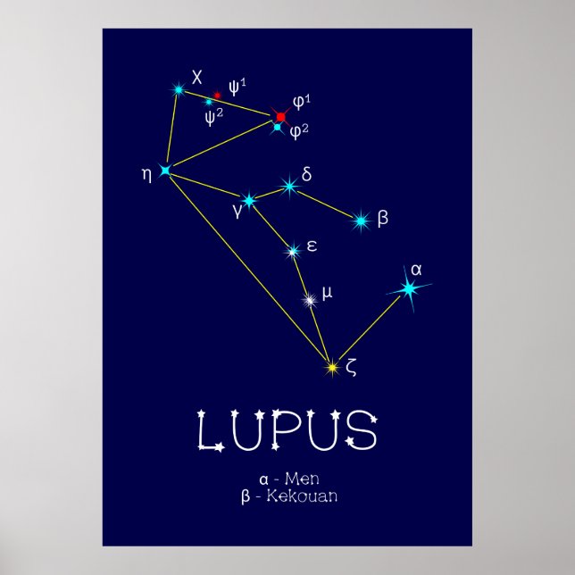 Southern Hemisphere Constellation Lupus Poster (Front)