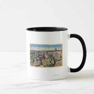 Southern Idaho - Famous Sinking Farm in Salmon Mug