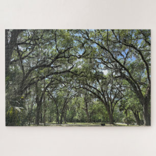 Southern Live Oak canopy Jigsaw Puzzle