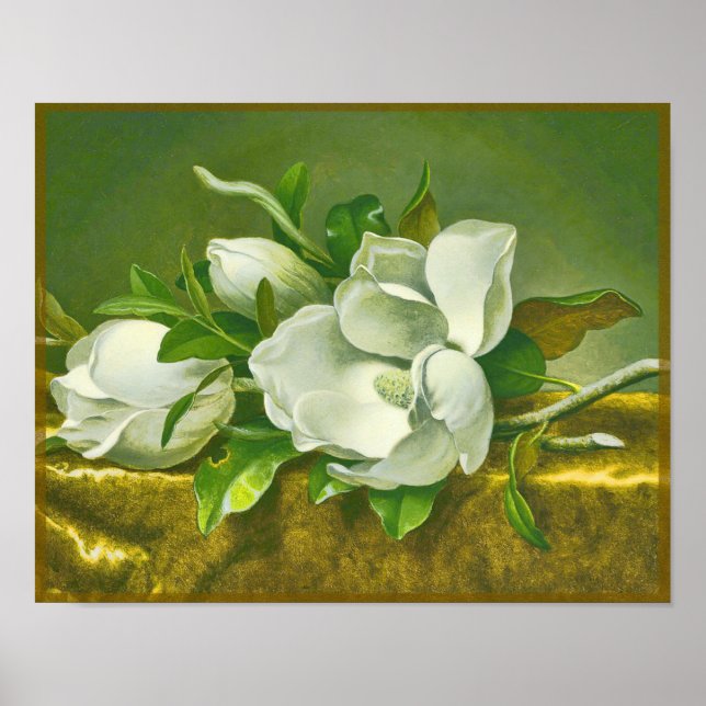 Southern Magnolia Flower Poster (Front)