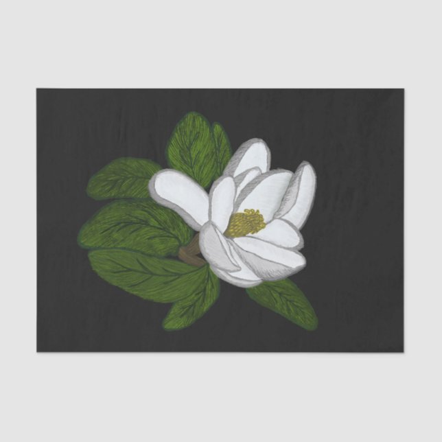 Southern Magnolia Illustration Tissue Paper (Front)
