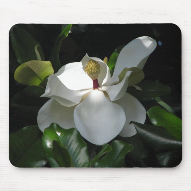 Southern Magnolia Mouse Mat (Front)