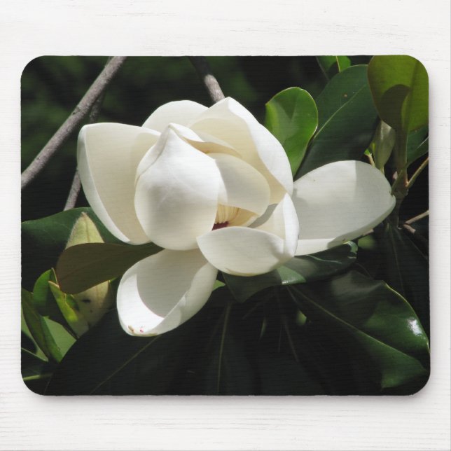 Southern Magnolia Mouse Mat (Front)