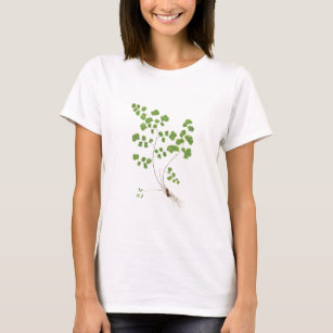 Southern Maidenhair fern leaf illustration T-Shirt