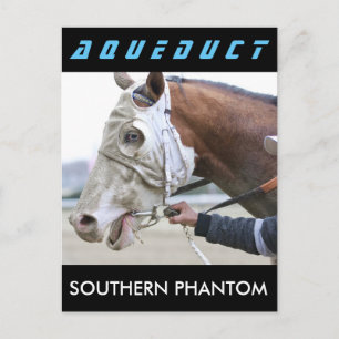 Southern Phantom Postcard