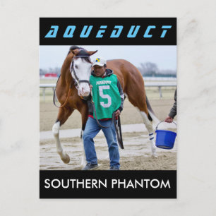 Southern Phantom Postcard