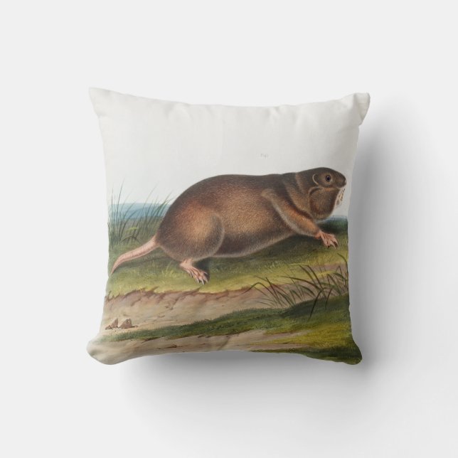 Southern Pouched Rat, Shrew Mole Illustration Cushion (Front)