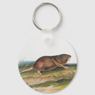 Southern Pouched Rat, Shrew Mole Illustration Key Ring