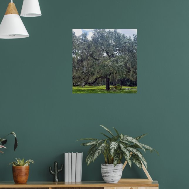 Southern Relaxation Poster (Living Room 1)
