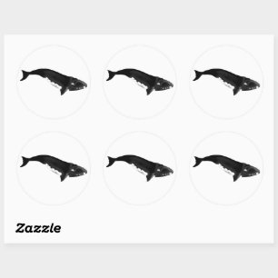 SOUTHERN RIGHT WHALE CLASSIC ROUND STICKER