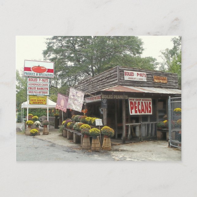 Southern roadside country store postcard (Front)