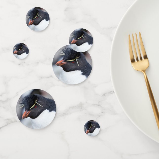 Southern Rockhopper Penguin Confetti (Group)