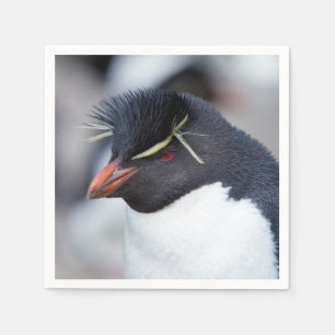 Southern Rockhopper Penguin Napkin