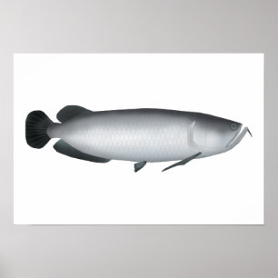 Southern Saratoga Poster