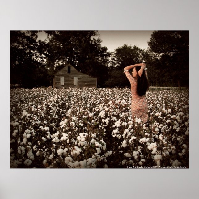 Southern Serenity Poster (Front)