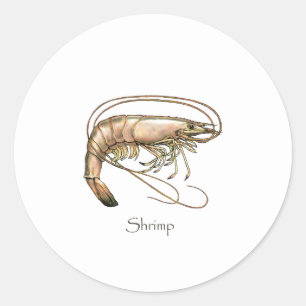 Southern Shrimp Art Logo Classic Round Sticker