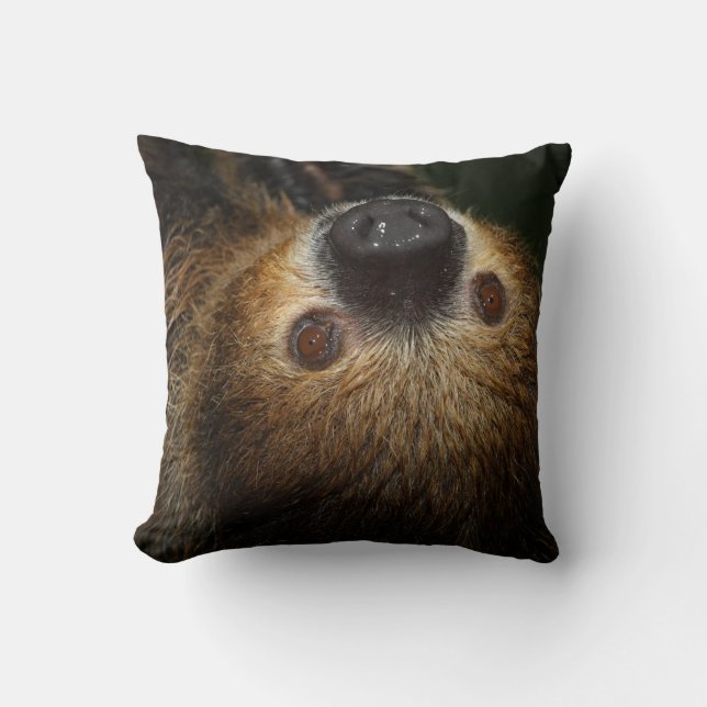 Southern Two-Toed Sloth Cushion (Front)