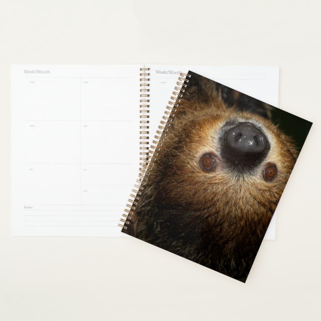 Southern Two-Toed Sloth Planner (Display)