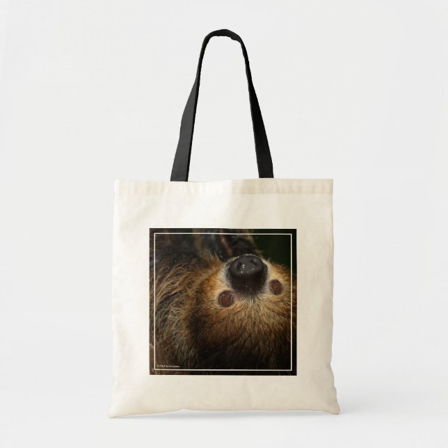 Southern Two-Toed Sloth Tote Bag (Front)