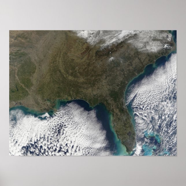 Southern United States of America Poster (Front)