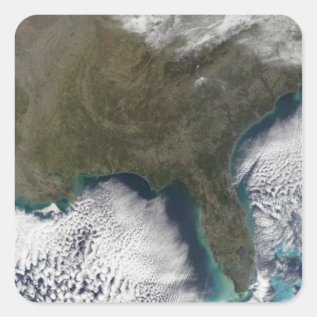 Southern United States of America Square Sticker (Front)