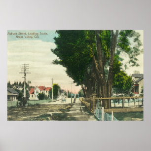 Southern View from Auburn Street Poster