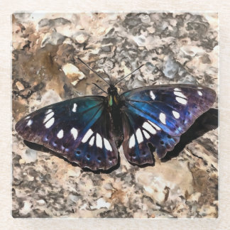 Southern White Admiral Blue Butterfly Painting Glass Coaster
