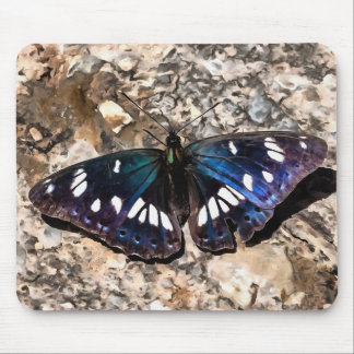 Southern White Admiral Blue Butterfly Painting Mouse Mat