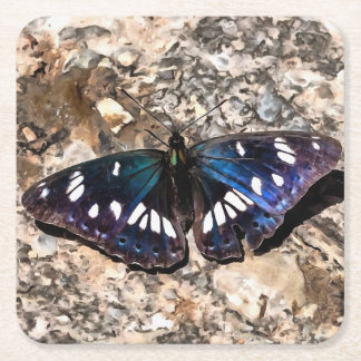 Southern White Admiral Blue Butterfly Painting Square Paper Coaster