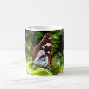 Southern White Admiral Butterfly Bug Mug