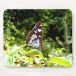 Southern White Admiral Butterfly Mouse Mat