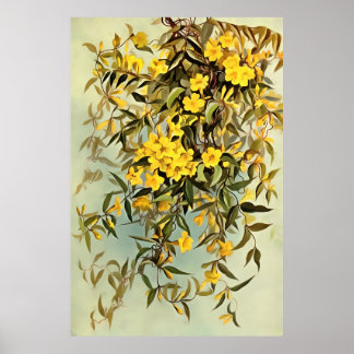Southern Wildflower Carolina Jasmine Art Poster