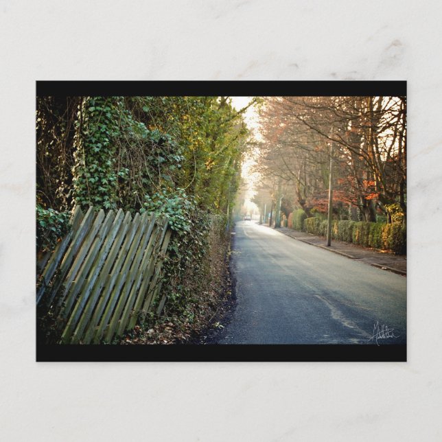 Southfield, Hessle [Postcard] Postcard (Front)