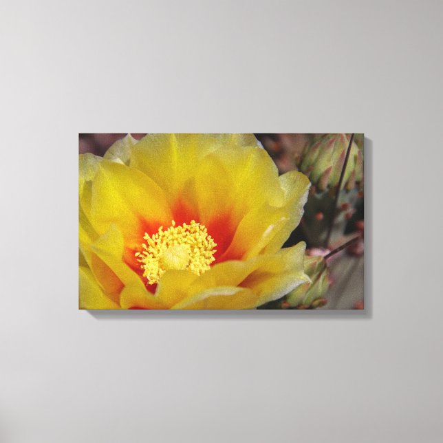 Southwest bloom canvas print (Front)