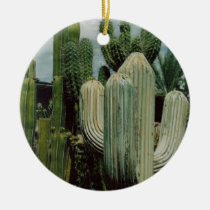Southwest Cactus Ceramic Tree Decoration