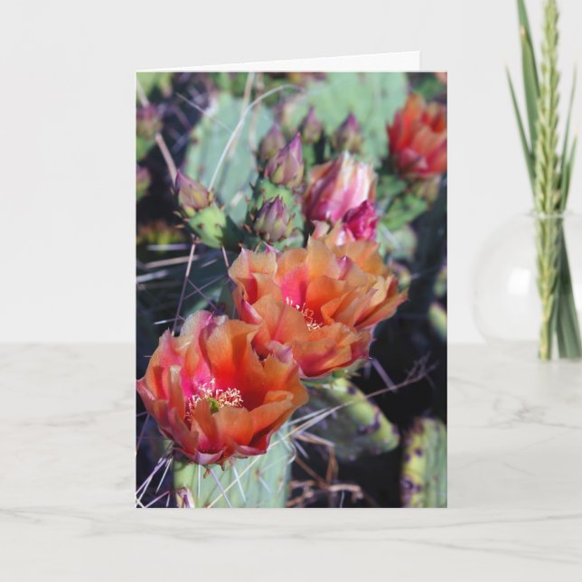 Southwest Christmas Card (Front)