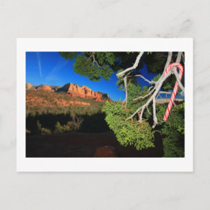Southwest Christmas Holiday Postcard