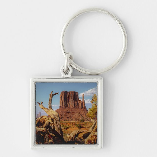 Southwest Desert Monument Valley Arizona  Key Ring (Front)