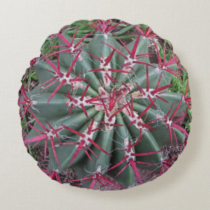 Southwest Desert Plant Photo Red Barrel Cactus Round Cushion