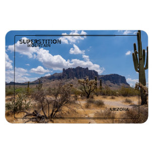 Southwest Desert Souvenirs Magnet