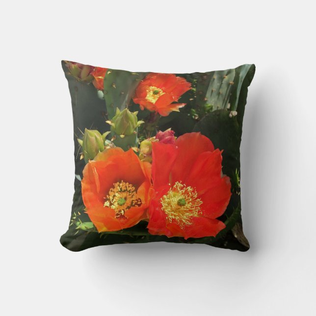 Southwest Floral Bloom Bright Red Cactus Flower Cushion (Front)