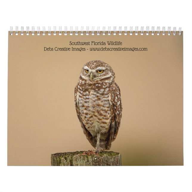 Southwest Florida Wildlife 2025 Calendar (Cover)