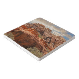Southwest Mountain Scene  Trivet