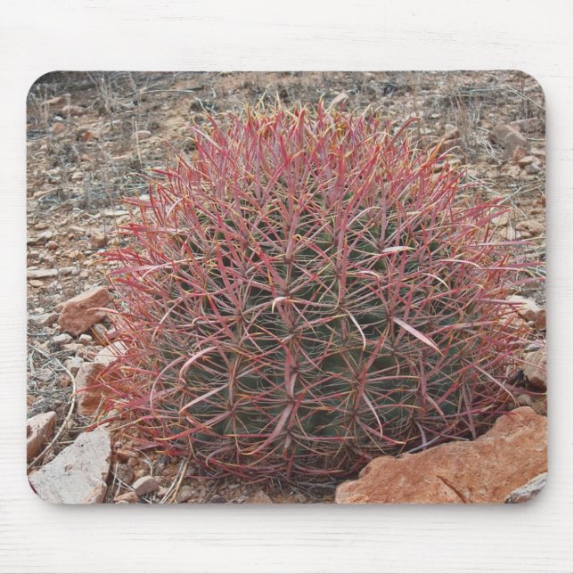 Southwest Red Barrel Cactus Photo Arizona Desert Mouse Mat (Front)