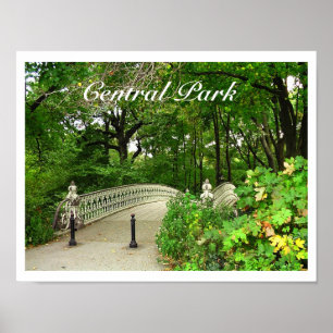 Southwest Reservoir Bridge Central Park, NYC Poster