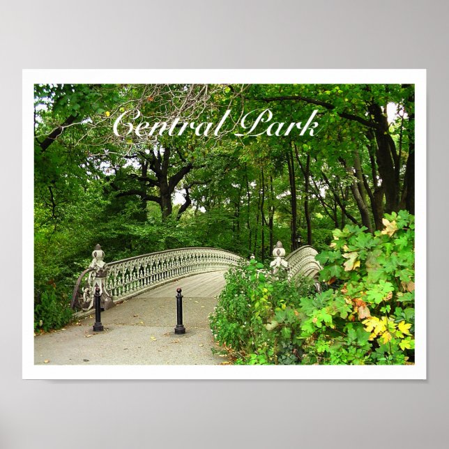 Southwest Reservoir Bridge Central Park, NYC Poster (Front)