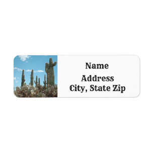 Southwest Saguaro Cactus Desert Landscape Address