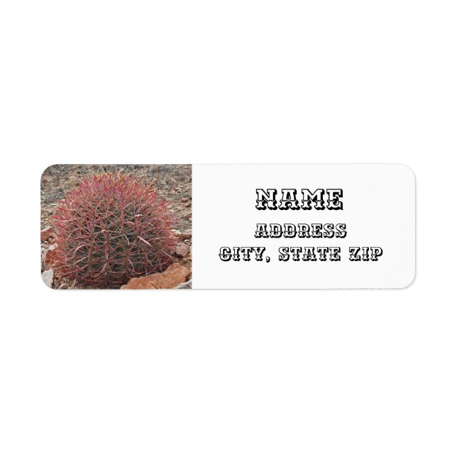 Southwest Style Desert Plant Red Barrel Cactus (Front)