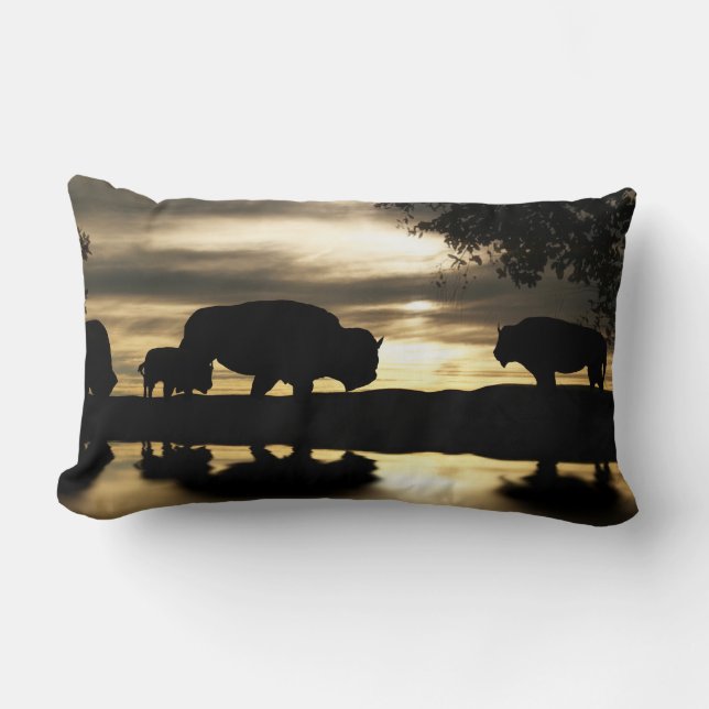 Southwestern Buffalo Decor Throw Pillow (Front)