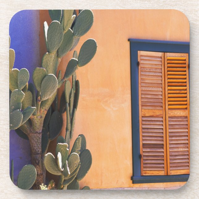 Southwestern Cactus (Opuntia dejecta) and Coaster (Front)